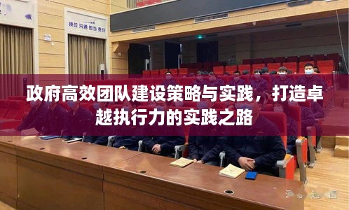 政府高效团队建设策略与实践，打造卓越执行力的实践之路