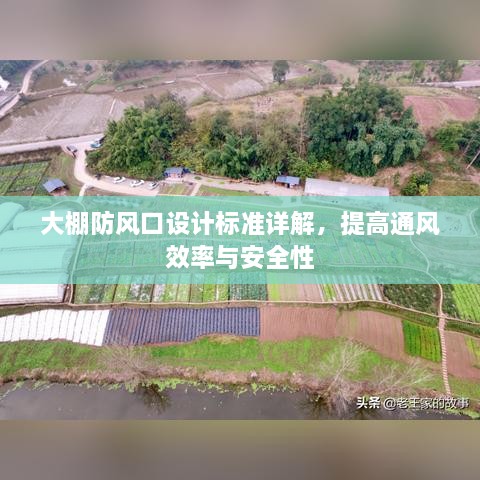 大棚防风口设计标准详解，提高通风效率与安全性