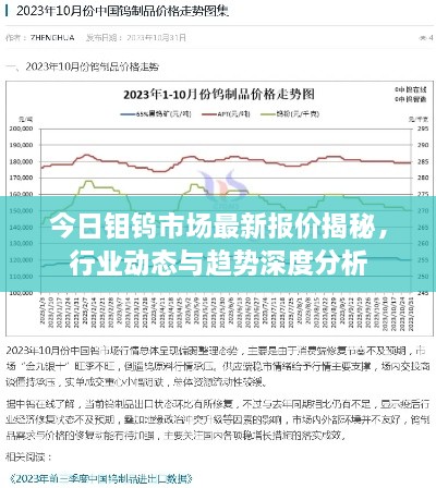 今日钼钨市场最新报价揭秘，行业动态与趋势深度分析