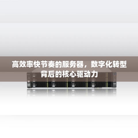 高效率快节奏的服务器，数字化转型背后的核心驱动力