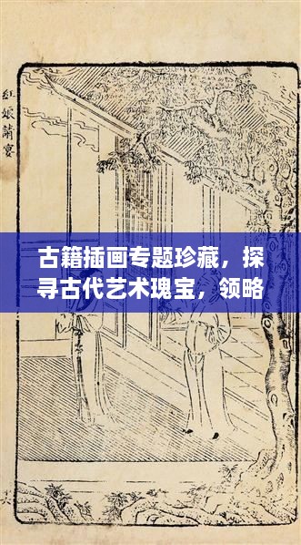 古籍插画专题珍藏，探寻古代艺术瑰宝，领略瑰丽宝藏的魅力