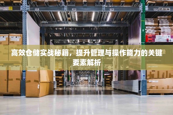 高效仓储实战秘籍，提升管理与操作能力的关键要素解析