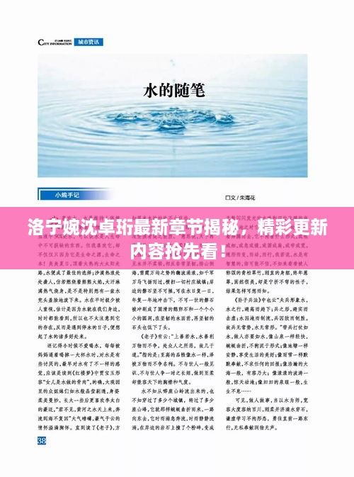 洛宁婉沈卓珩最新章节揭秘，精彩更新内容抢先看！