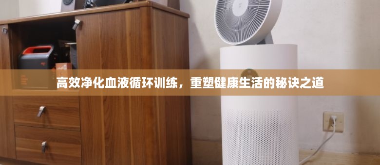 高效净化血液循环训练，重塑健康生活的秘诀之道