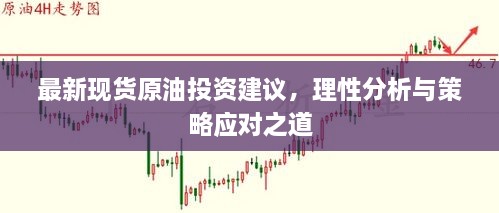 最新现货原油投资建议，理性分析与策略应对之道