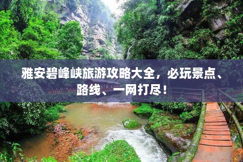关于我们 第25页