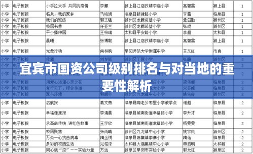 宜宾市国资公司级别排名与对当地的重要性解析
