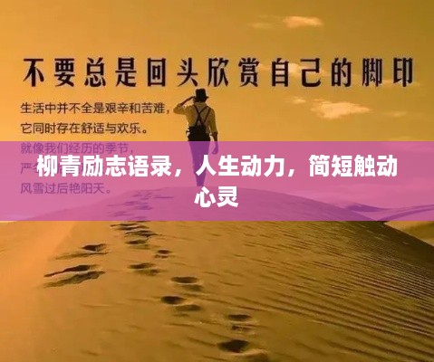 柳青励志语录，人生动力，简短触动心灵