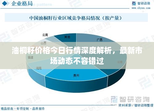 油桐籽价格今日行情深度解析，最新市场动态不容错过