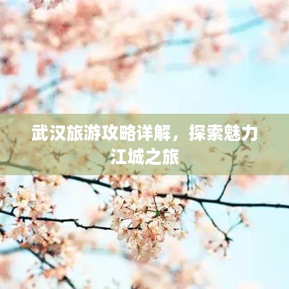 2025年6月2日