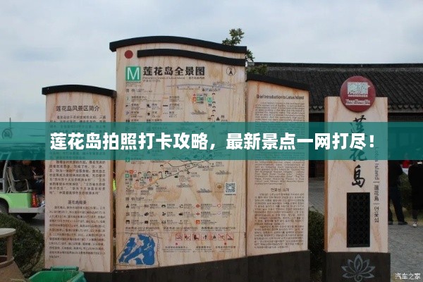 莲花岛拍照打卡攻略，最新景点一网打尽！