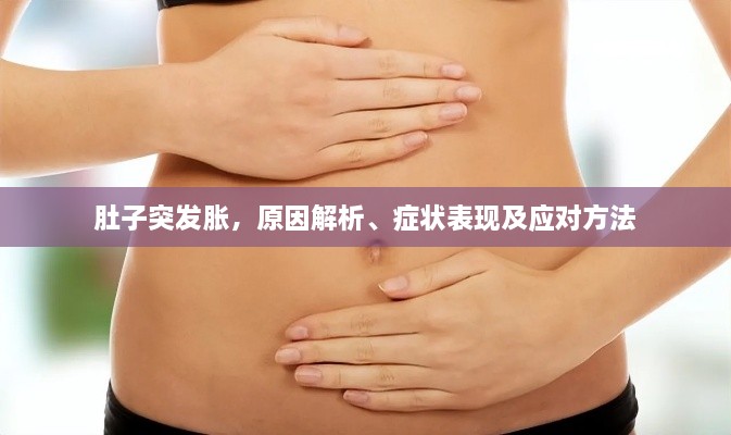 肚子突发胀，原因解析、症状表现及应对方法