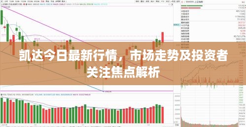 凯达今日最新行情，市场走势及投资者关注焦点解析