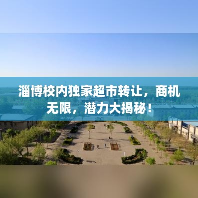 淄博校内独家超市转让，商机无限，潜力大揭秘！