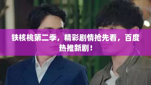 2025年6月5日 第4页