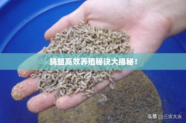 2025年6月5日 第3页