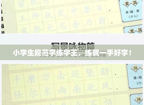 小学生规范字练字王，练就一手好字！