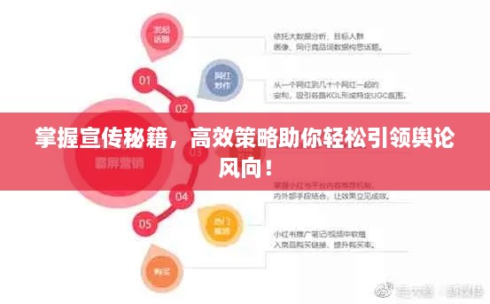 掌握宣传秘籍，高效策略助你轻松引领舆论风向！