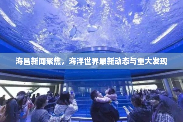 海昌新闻聚焦，海洋世界最新动态与重大发现