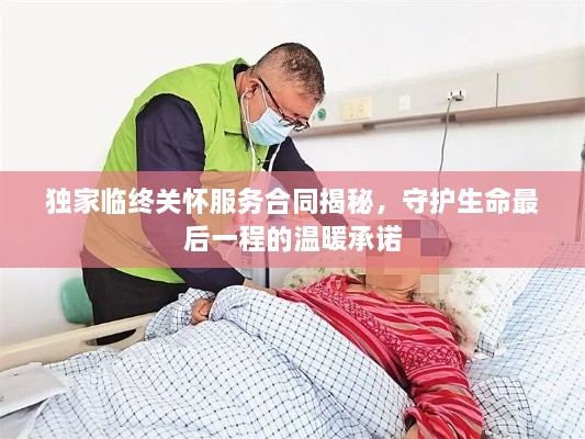 独家临终关怀服务合同揭秘，守护生命最后一程的温暖承诺