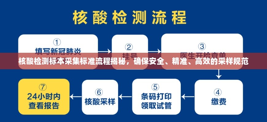 2025年6月8日 第4页