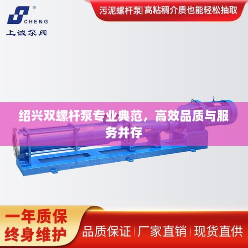 绍兴双螺杆泵专业典范，高效品质与服务并存