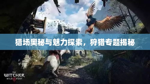 猎场奥秘与魅力探索，狩猎专题揭秘