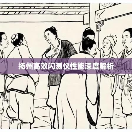 扬州高效闪测仪性能深度解析