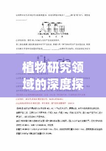 2025年6月11日 第4页