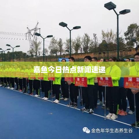 嘉鱼今日热点新闻速递