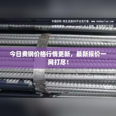 今日费钢价格行情更新，最新报价一网打尽！