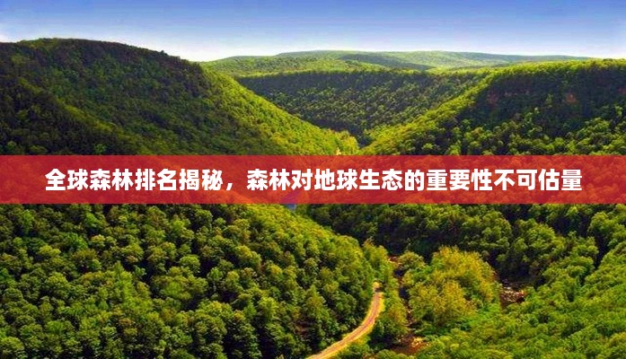 全球森林排名揭秘，森林对地球生态的重要性不可估量