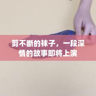 2025年6月13日 第5页
