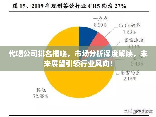代喝公司排名揭晓，市场分析深度解读，未来展望引领行业风向！