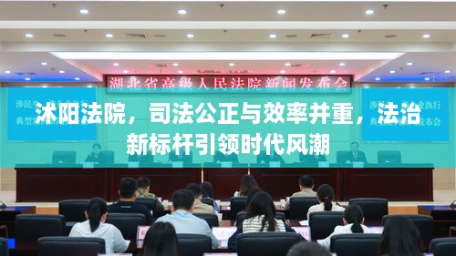沭阳法院，司法公正与效率并重，法治新标杆引领时代风潮
