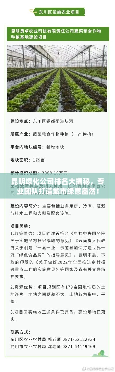 昆明绿化公司排名大揭秘，专业团队打造城市绿意盎然！
