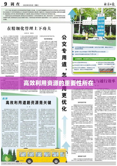 有张没智