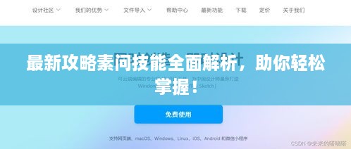 最新攻略素问技能全面解析，助你轻松掌握！