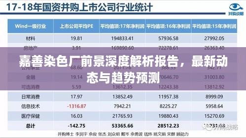 嘉善染色厂前景深度解析报告，最新动态与趋势预测