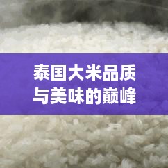 泰国大米品质与美味的巅峰之选，十大排名不容错过