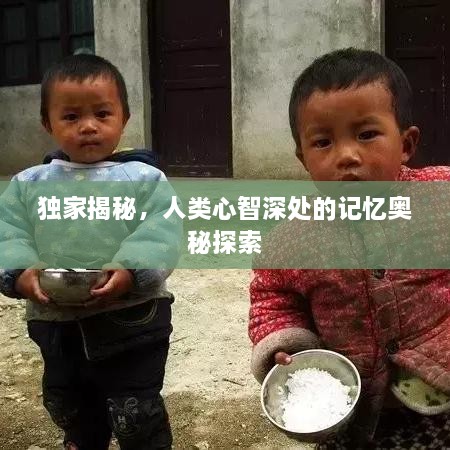 独家揭秘，人类心智深处的记忆奥秘探索