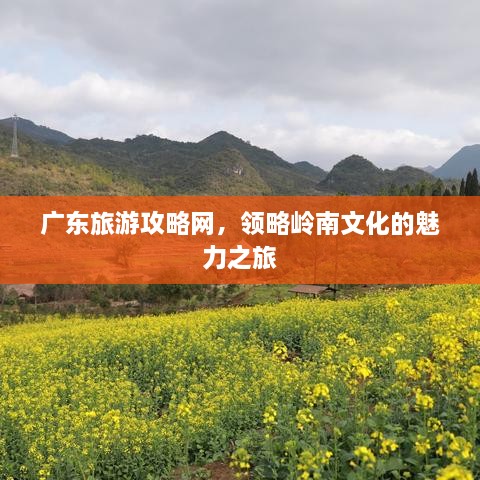 广东旅游攻略网，领略岭南文化的魅力之旅