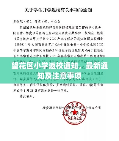 望花区小学返校通知，最新通知及注意事项