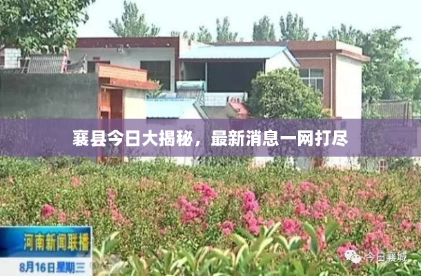 襄县今日大揭秘，最新消息一网打尽