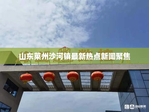 山东莱州沙河镇最新热点新闻聚焦