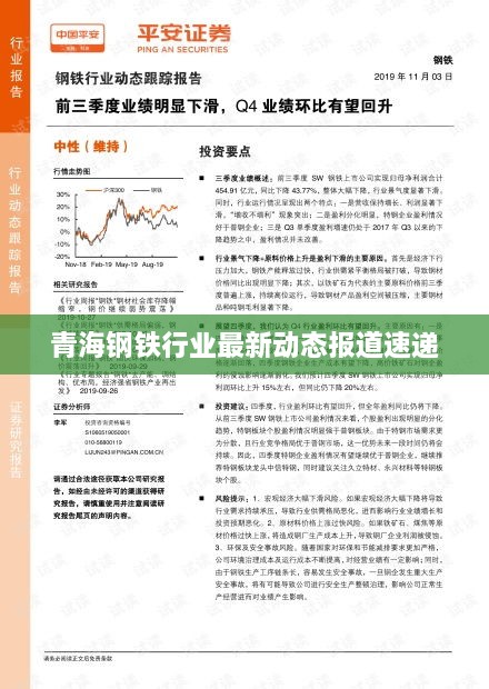 青海钢铁行业最新动态报道速递