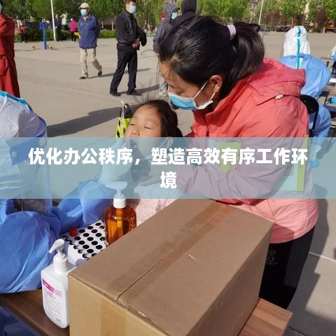 优化办公秩序，塑造高效有序工作环境