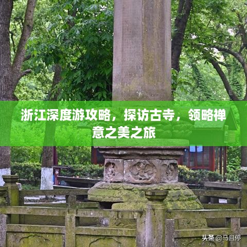 浙江深度游攻略，探访古寺，领略禅意之美之旅