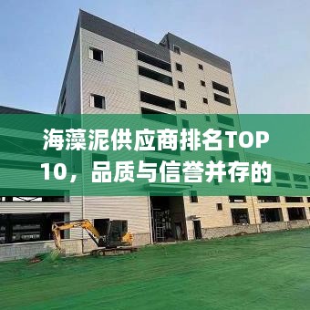 海藻泥供应商排名TOP10，品质与信誉并存的选择