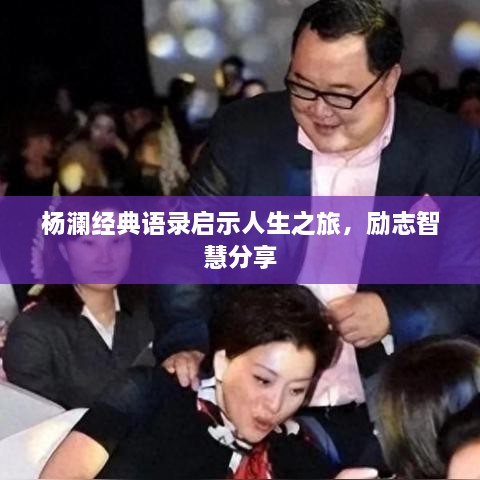 杨澜经典语录启示人生之旅，励志智慧分享